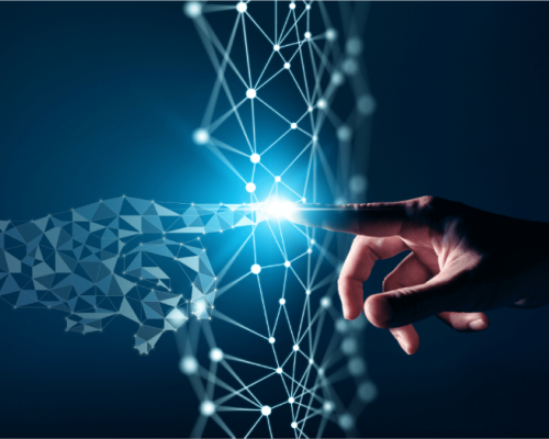 Draft-website_export